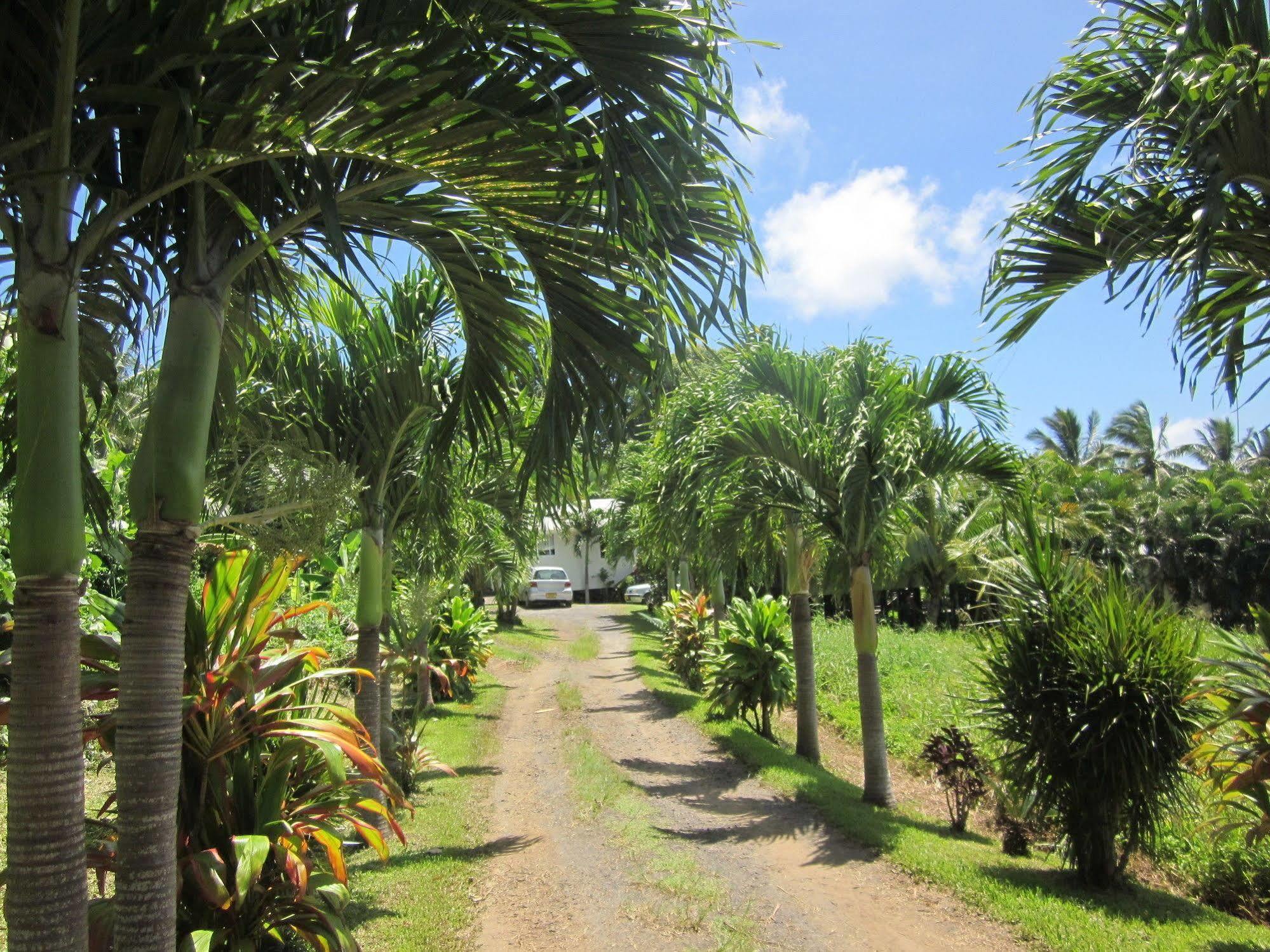 Muri Lagoon View Bungalows - Hillside Bungalow Rarotonga Exterior photo